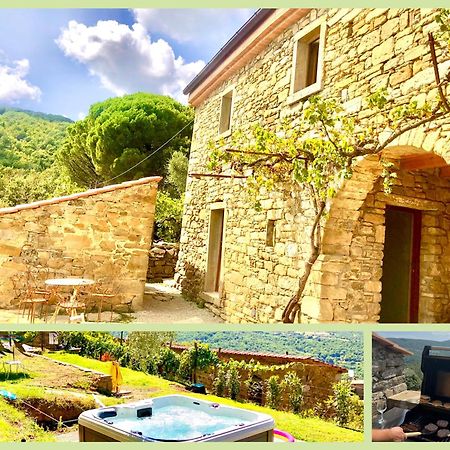 Bio Agriturismo Alba Etrusca Di Cortona - Organic Farmhouse- Appartamento Lavanda-Appartamento Rosmarino - Vasca Idromassaggio Esterna Poggioni Exterior foto